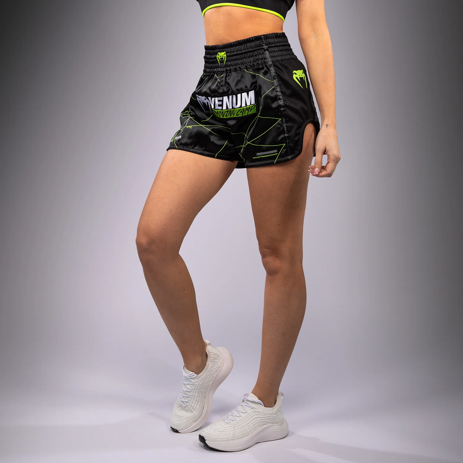 Miniatuur 2